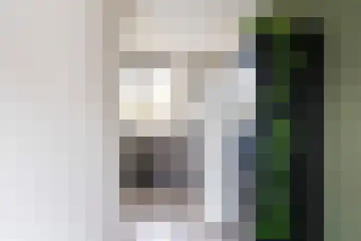 Goudriaanstraat 15 Zwaanshoek thumbnail 23