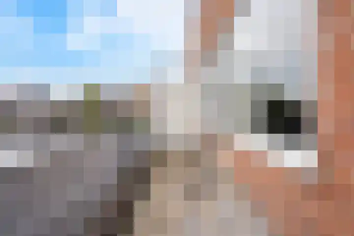Goudriaanstraat 15 Zwaanshoek thumbnail 25
