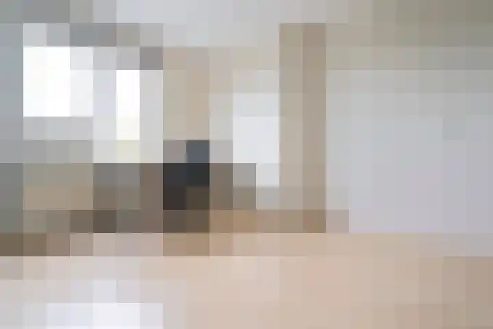 Goudriaanstraat 15 Zwaanshoek thumbnail 27