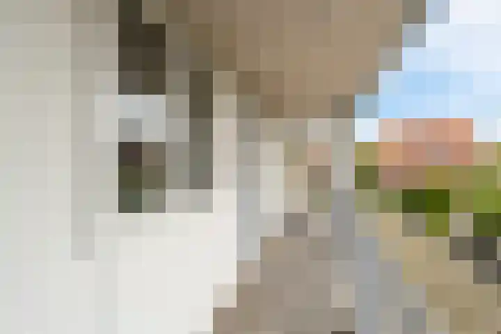 Goudriaanstraat 15 Zwaanshoek thumbnail 37
