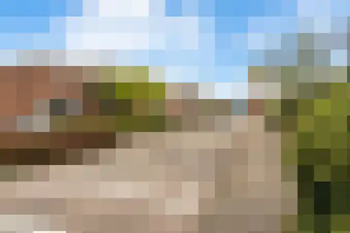 Goudriaanstraat 15 Zwaanshoek thumbnail 39
