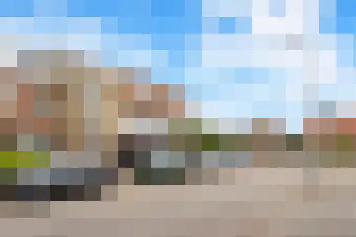 Goudriaanstraat 15 Zwaanshoek thumbnail 40