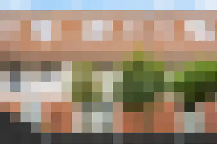 Goudriaanstraat 15 Zwaanshoek thumbnail 41