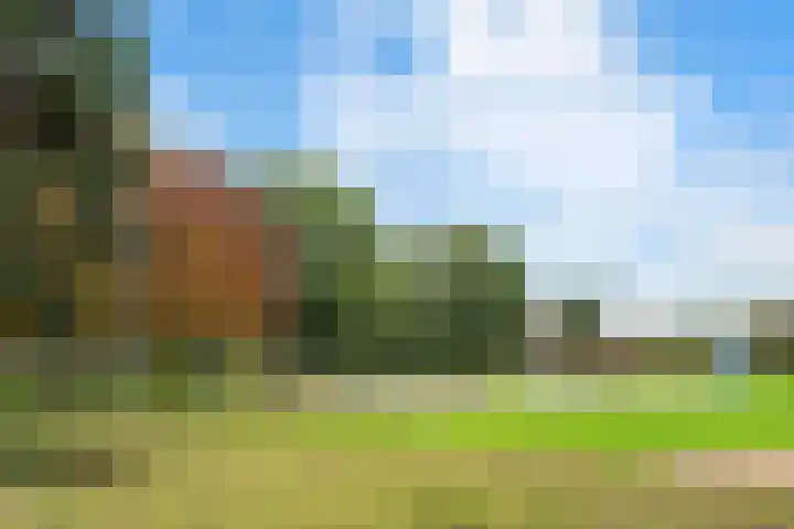 Goudriaanstraat 15 Zwaanshoek thumbnail 5