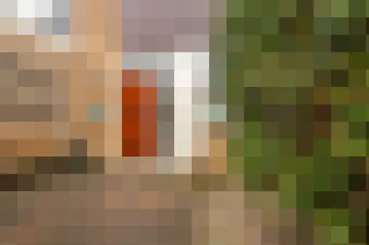 Goudriaanstraat 154 Zwaanshoek thumbnail 7