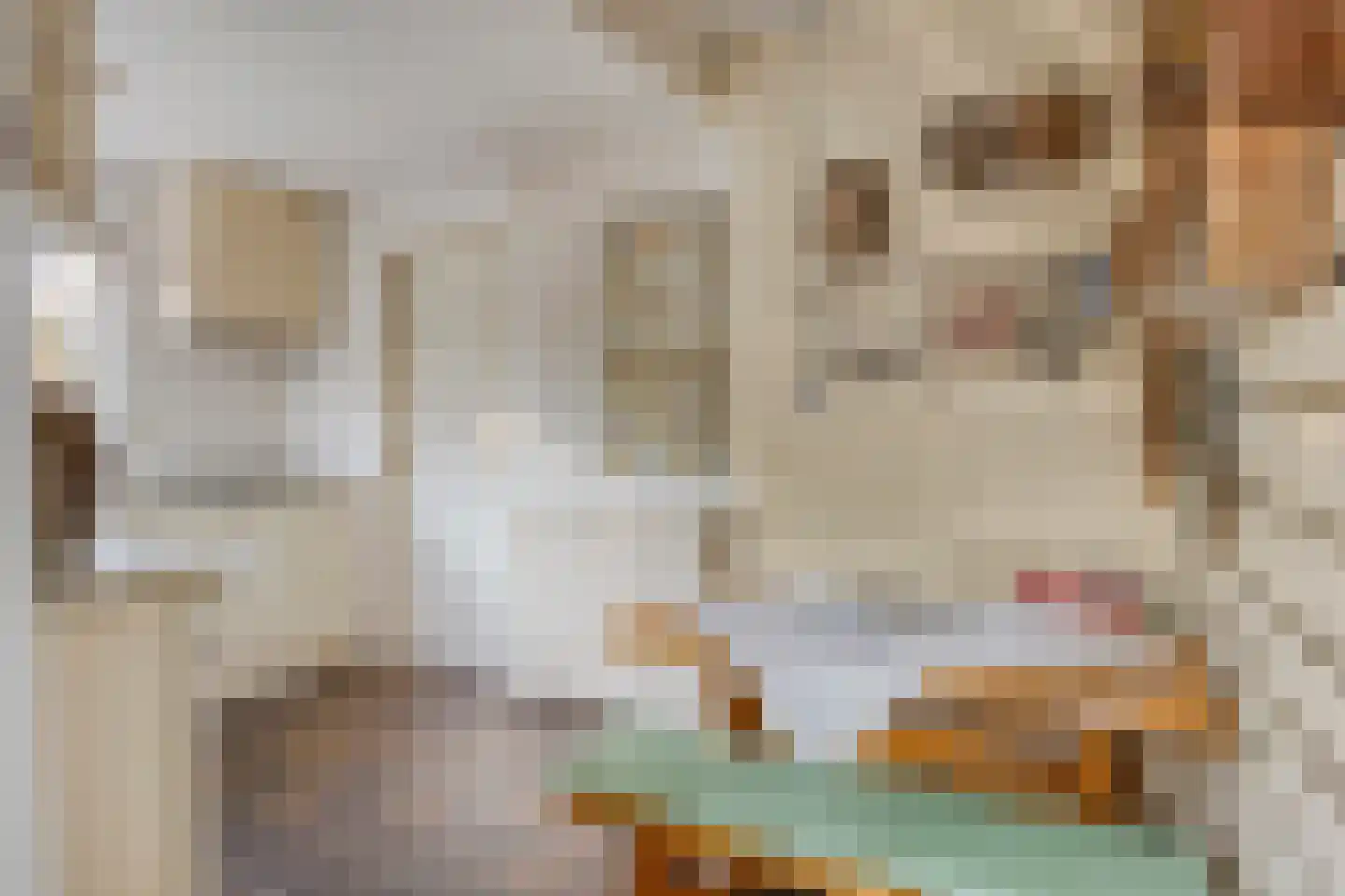 Goudriaanstraat 39 Zwaanshoek thumbnail 10