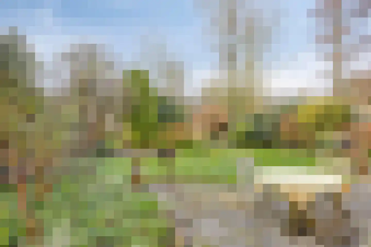 Goudriaanstraat 39 Zwaanshoek thumbnail 31