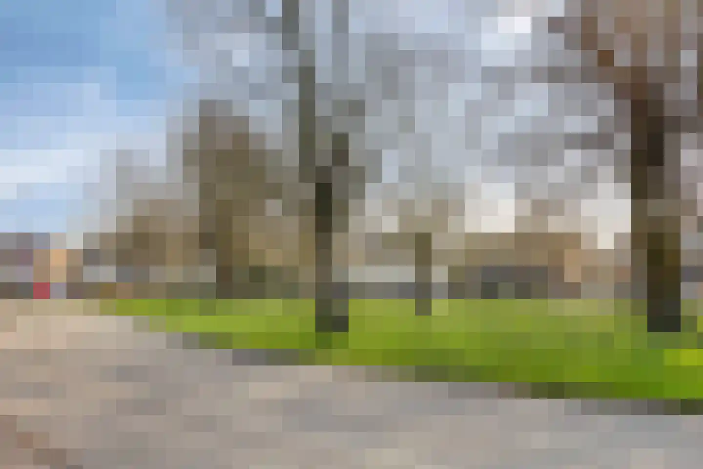Goudriaanstraat 39 Zwaanshoek thumbnail 34