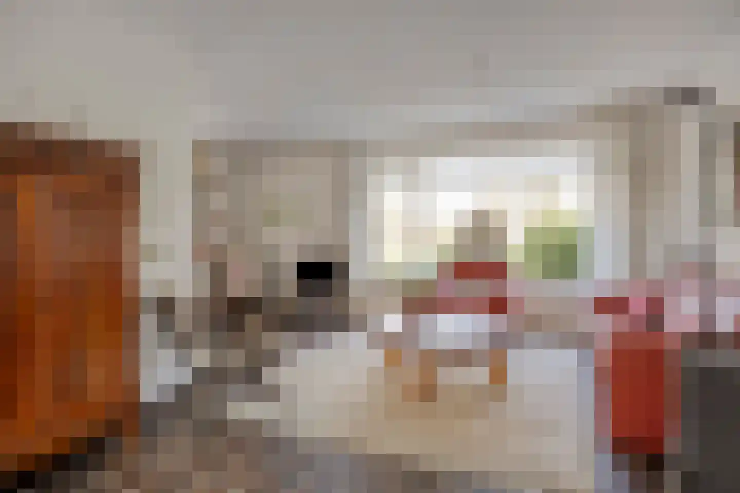 Goudriaanstraat 39 Zwaanshoek thumbnail 4