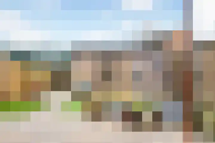 Goudriaanstraat 72 Zwaanshoek thumbnail 31
