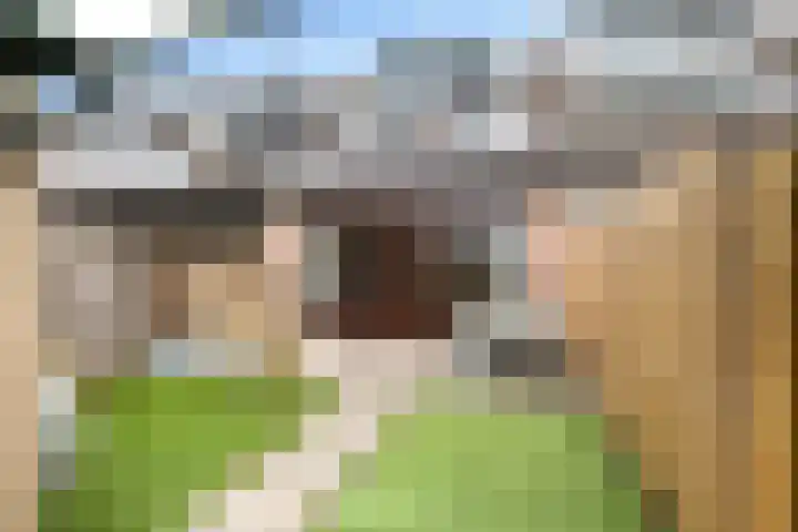 Goudriaanstraat 72 Zwaanshoek thumbnail 33