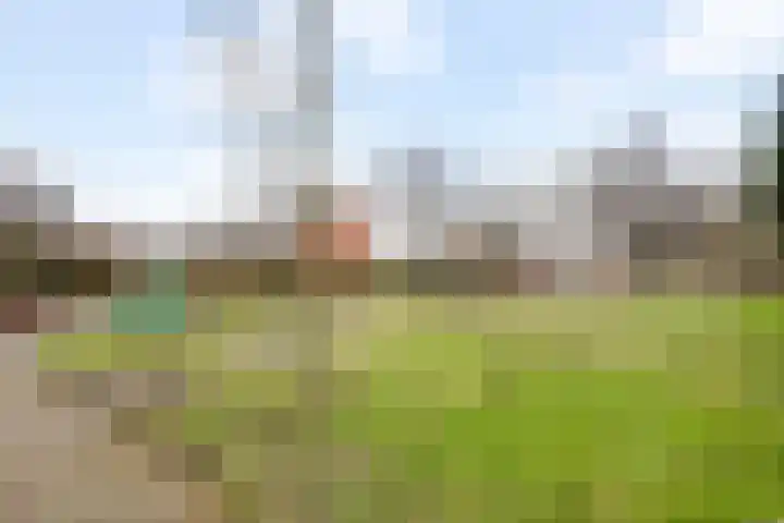 Goudriaanstraat 72 Zwaanshoek thumbnail 35
