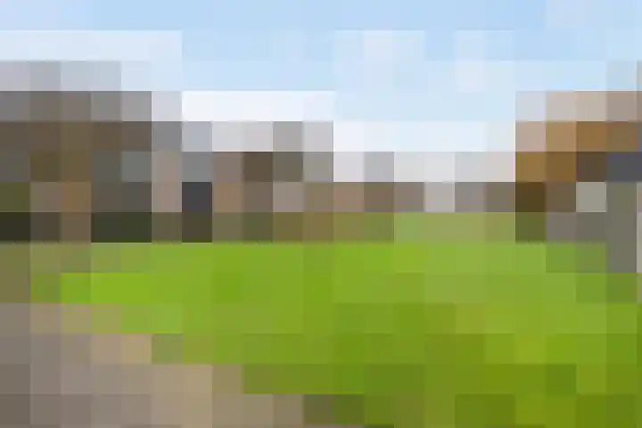 Goudriaanstraat 72 Zwaanshoek thumbnail 36