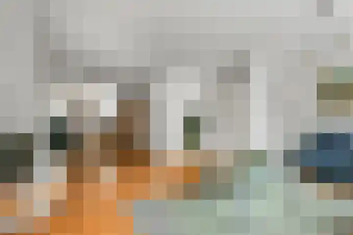 Goudriaanstraat 94 Zwaanshoek thumbnail 7