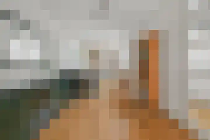 Goudriaanstraat 94 Zwaanshoek thumbnail 8