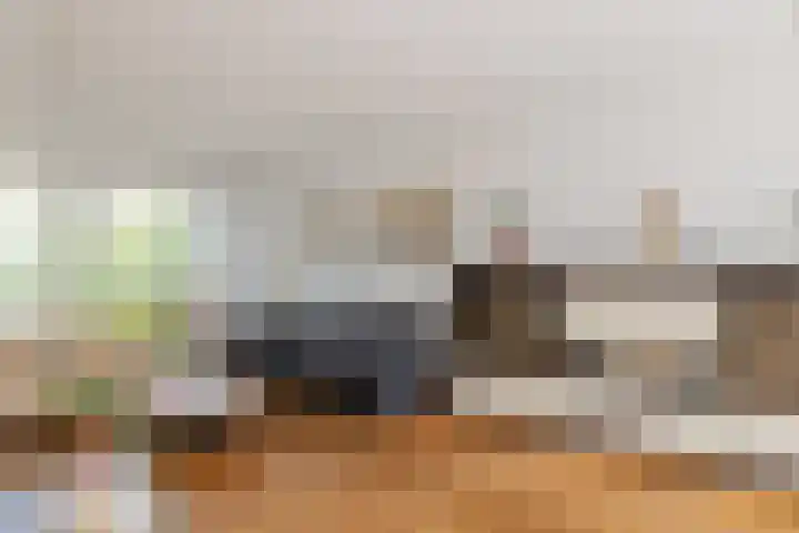 Goudriaanstraat 95 Zwaanshoek thumbnail 11