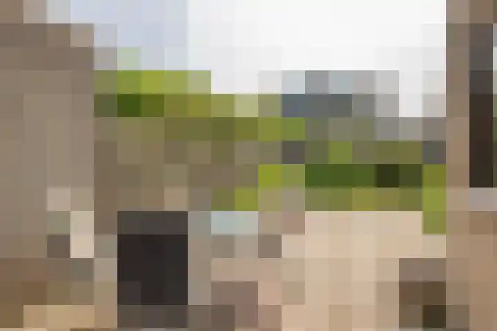 Goudriaanstraat 95 Zwaanshoek thumbnail 32