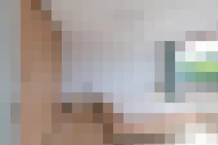 Goudriaanstraat 95 Zwaanshoek thumbnail 4