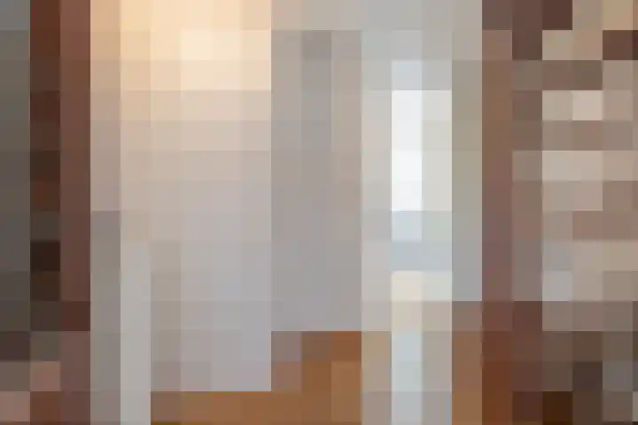 Goudriaanstraat 95 Zwaanshoek thumbnail 9