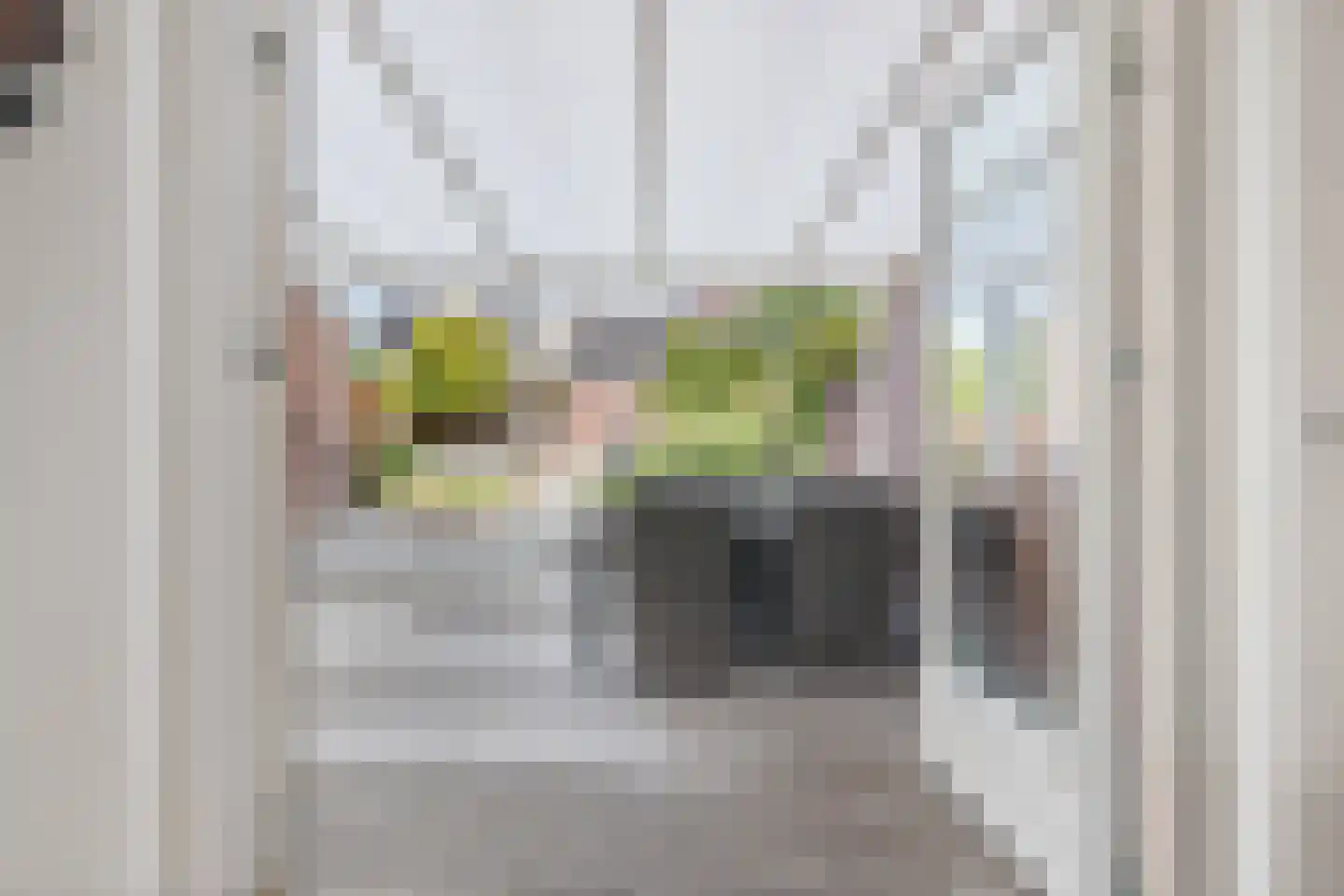 Goudsbloem 16 Boekel thumbnail 22