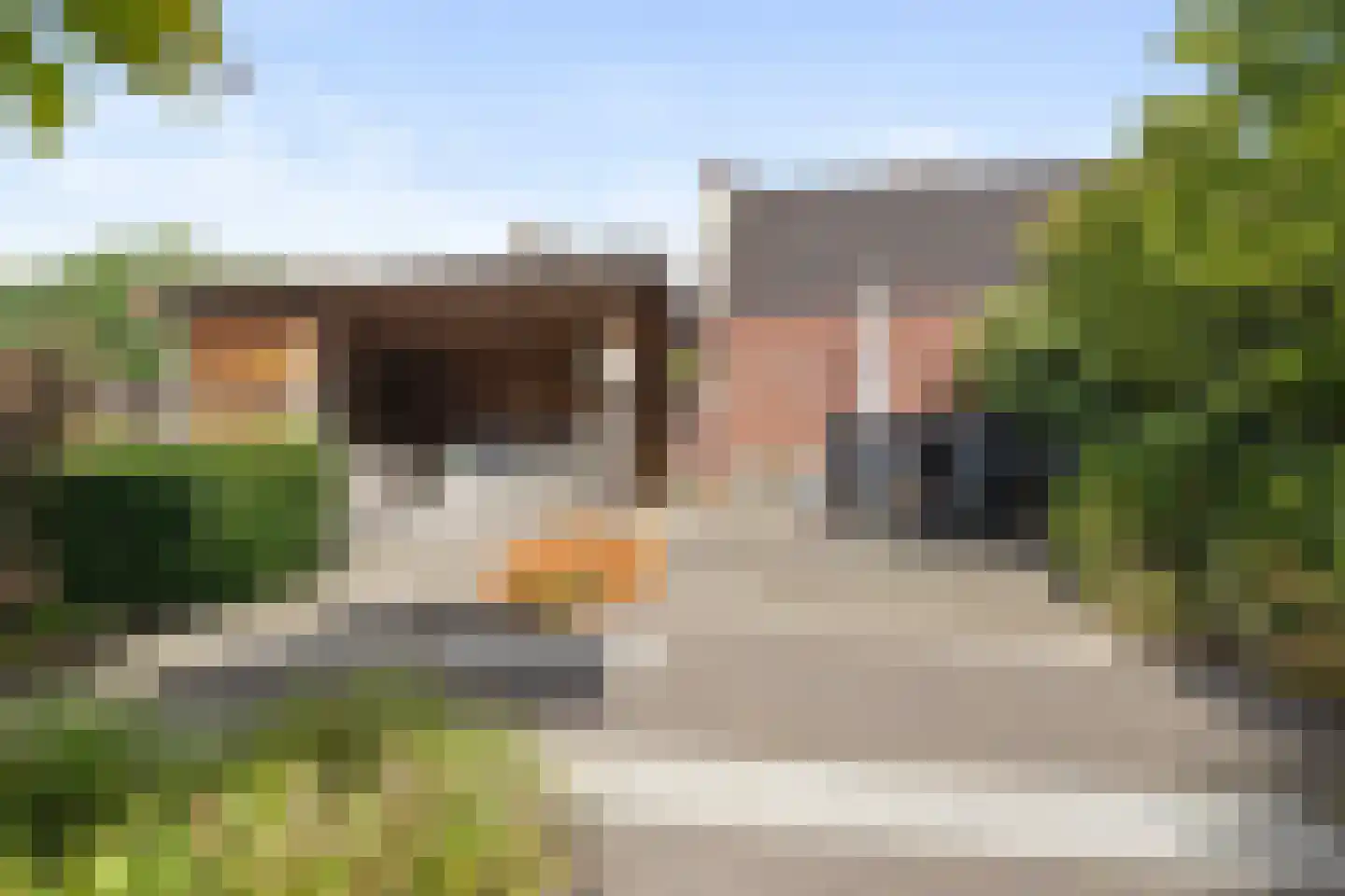 Goudsbloem 16 Boekel thumbnail 23