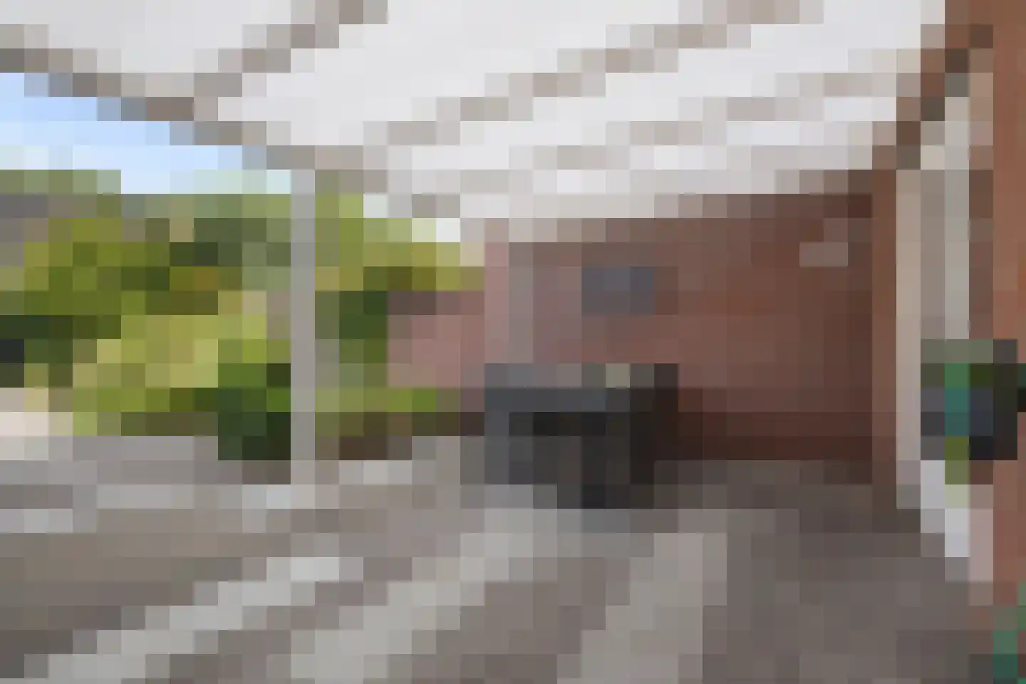 Goudsbloem 16 Boekel thumbnail 26