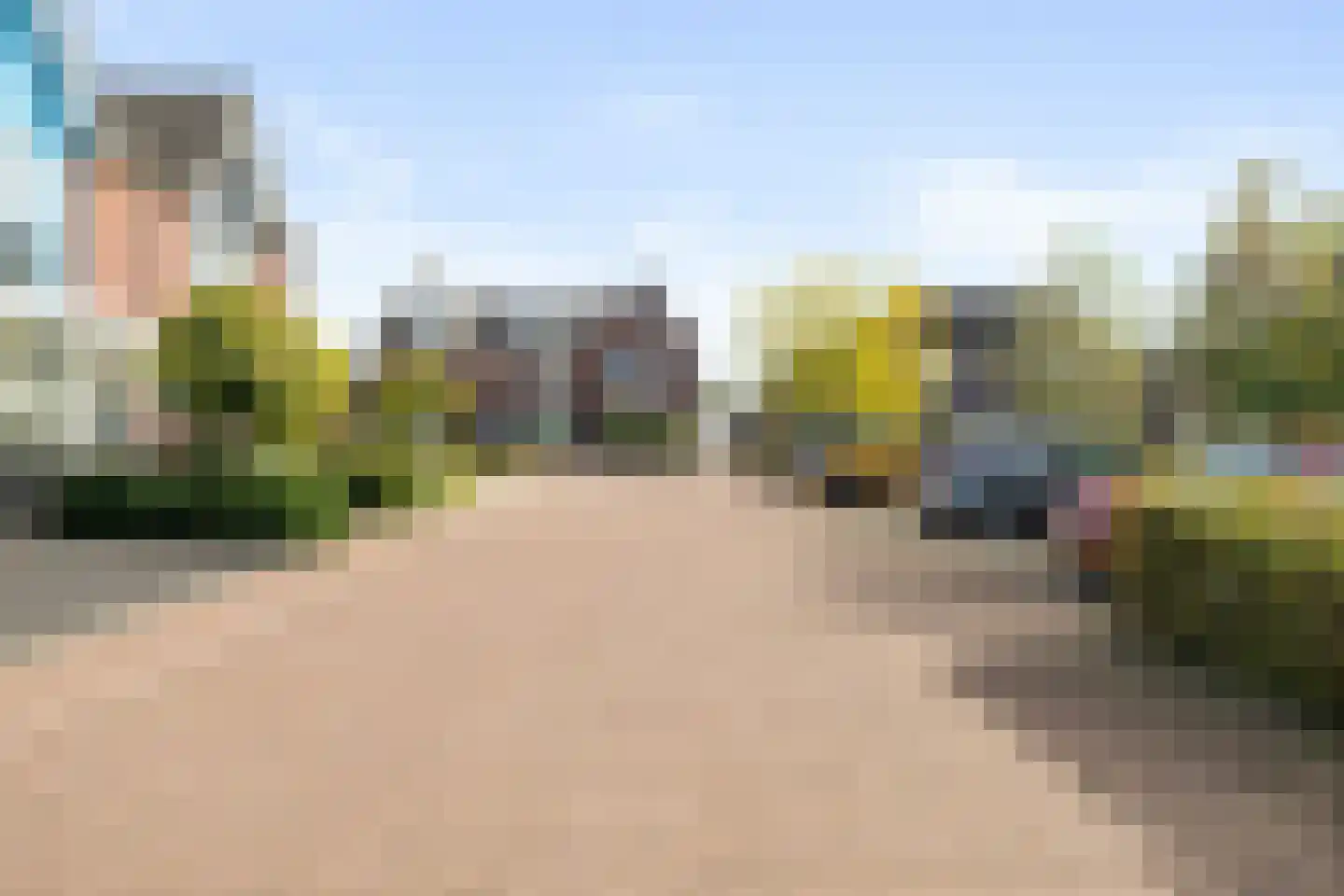 Goudsbloem 16 Boekel thumbnail 31