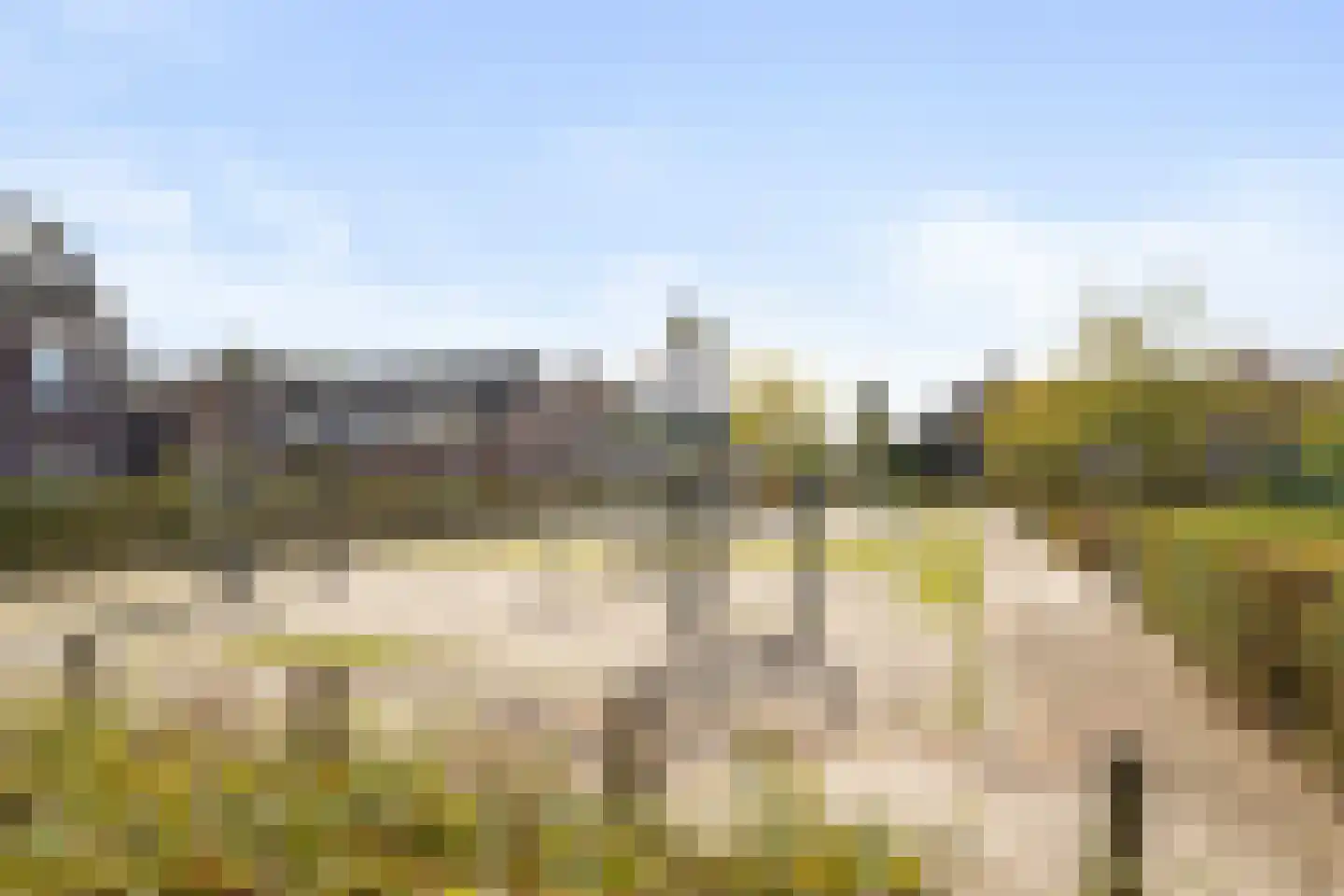 Goudsbloem 16 Boekel thumbnail 32