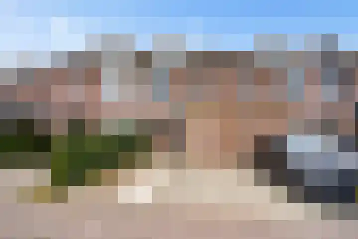 Goudsbloem 30 in Odijk