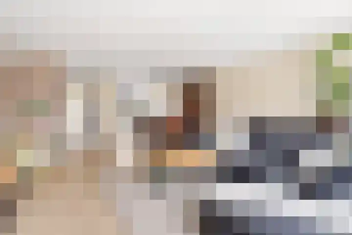 Goudsbloem 30 Odijk thumbnail 11
