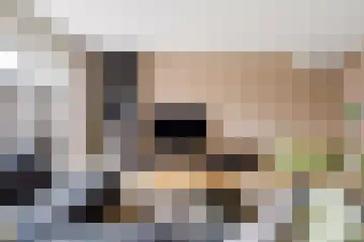 Goudsbloem 30 Odijk thumbnail 12
