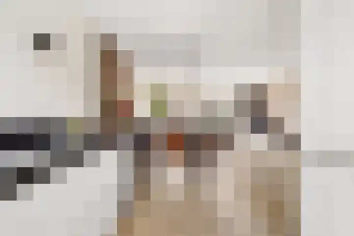 Goudsbloem 30 Odijk thumbnail 14
