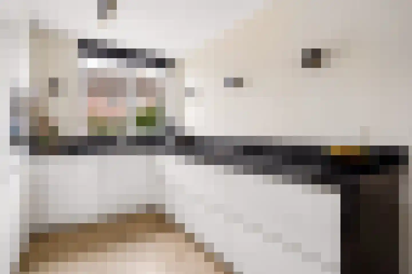 Goudsbloem 30 Odijk thumbnail 15