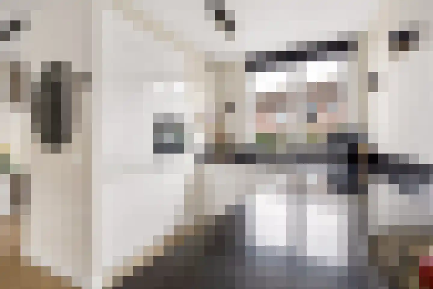 Goudsbloem 30 Odijk thumbnail 19