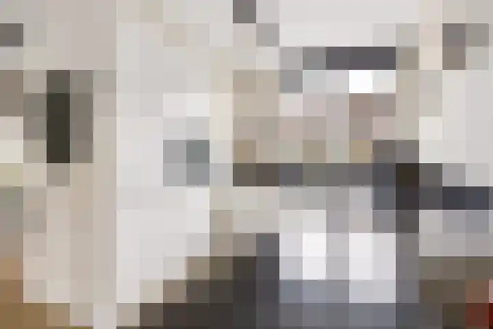Goudsbloem 30 Odijk thumbnail 19