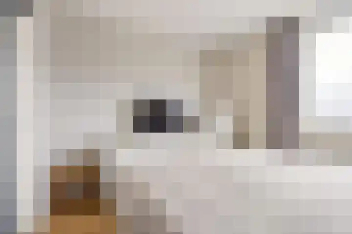 Goudsbloem 30 Odijk thumbnail 23