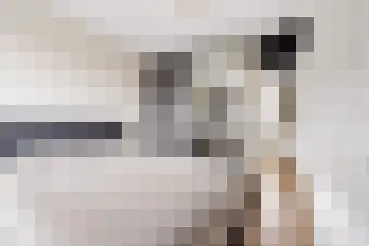 Goudsbloem 30 Odijk thumbnail 24