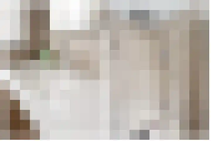 Goudsbloem 30 Odijk thumbnail 32