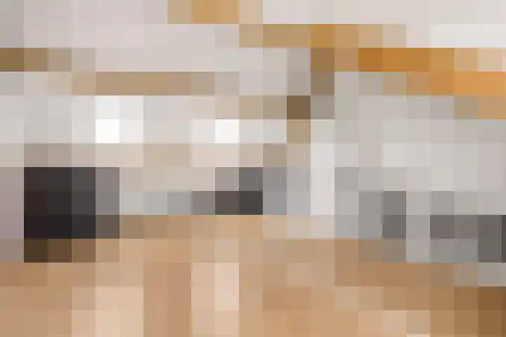 Goudsbloem 30 Odijk thumbnail 35