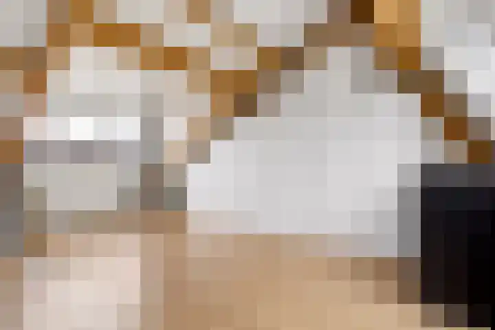 Goudsbloem 30 Odijk thumbnail 36
