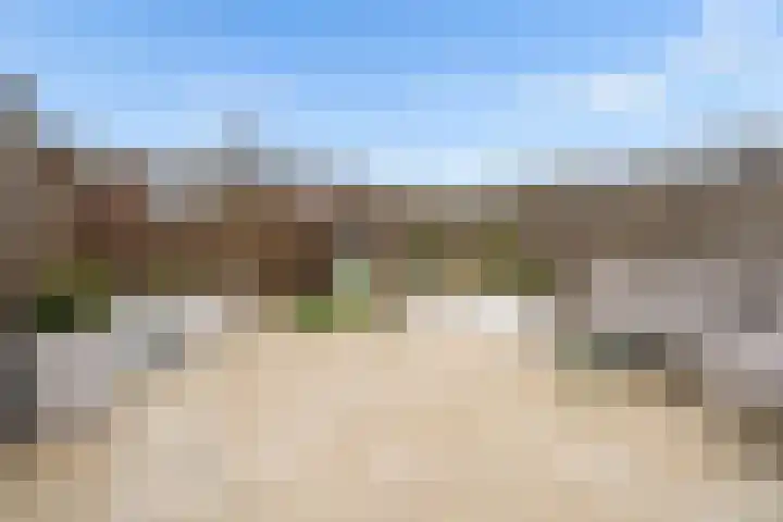 Goudsbloem 30 Odijk thumbnail 37