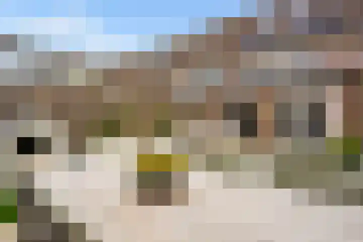 Goudsbloem 30 Odijk thumbnail 38