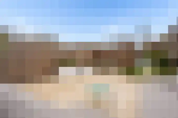 Goudsbloem 30 Odijk thumbnail 40