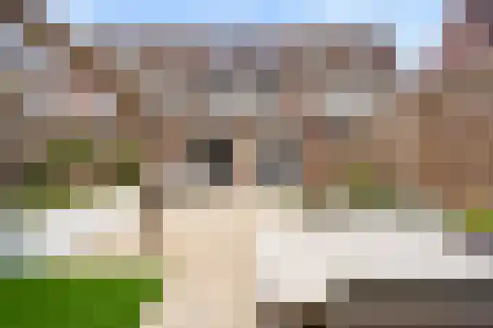 Goudsbloem 30 Odijk thumbnail 41