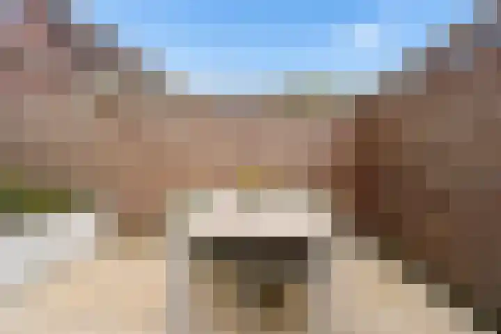 Goudsbloem 30 Odijk thumbnail 42