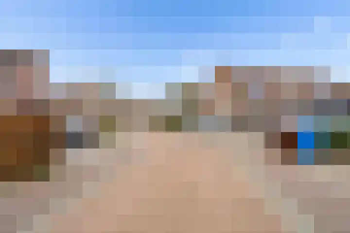 Goudsbloem 30 Odijk thumbnail 43