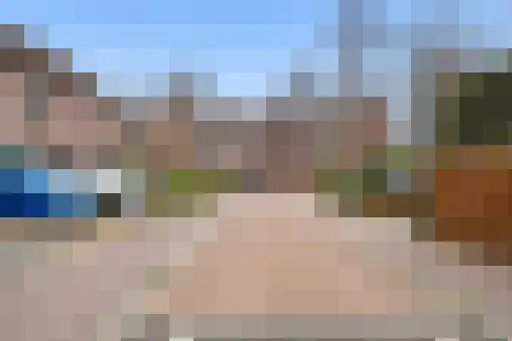 Goudsbloem 30 Odijk thumbnail 44