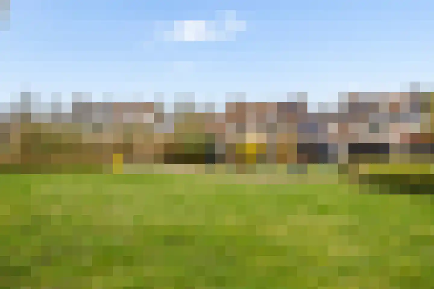 Goudsbloem 30 Odijk thumbnail 45