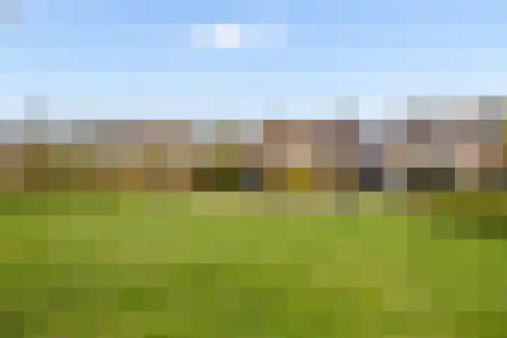 Goudsbloem 30 Odijk thumbnail 45
