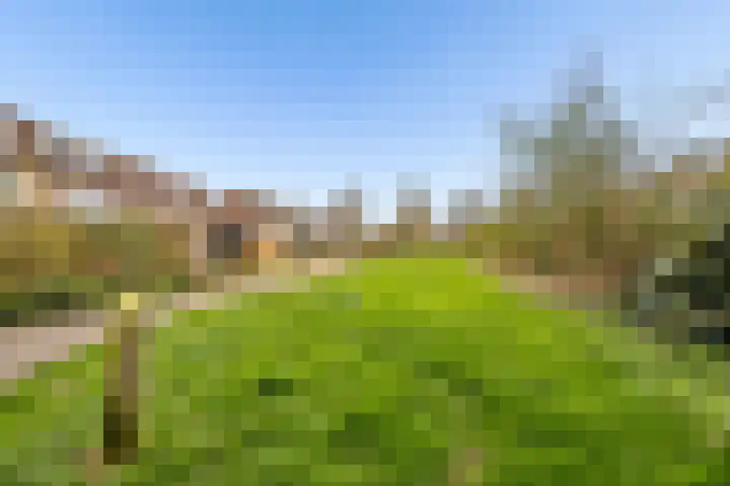 Goudsbloem 30 Odijk thumbnail 46